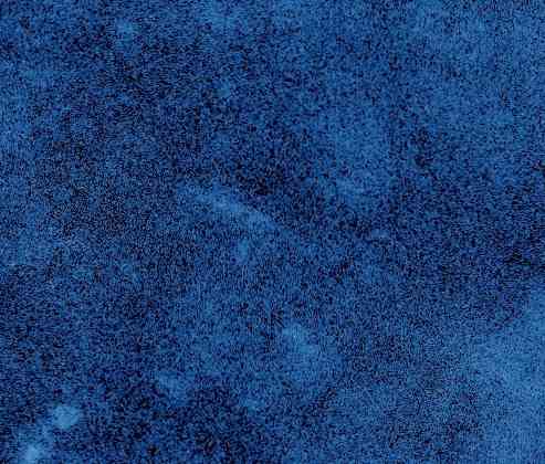 Зачем, даже Гпнд не знает Донецк