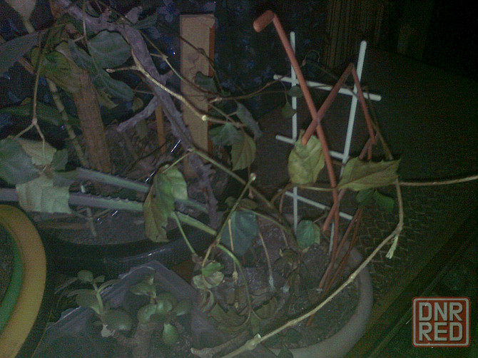 Шо все кабели люди без 1 ноги Донецк - изображение 1