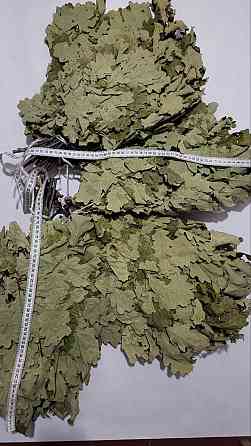 Веники для бани дубовые Донецк