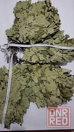 Веники для бани дубовые Донецк - изображение 1