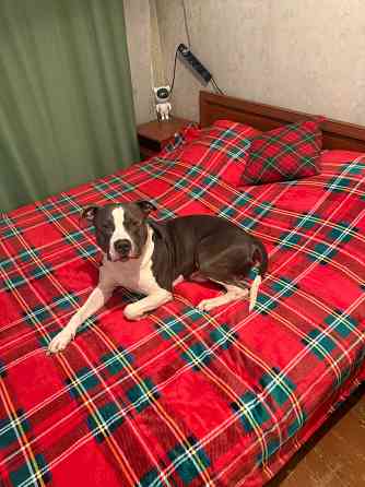 Вязка Донецк