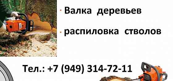 Валка, спил деревьев Донецк