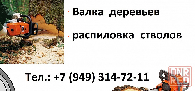 Валка, спил деревьев Донецк - изображение 1
