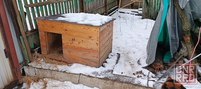 Продам будку Макеевка - изображение 1