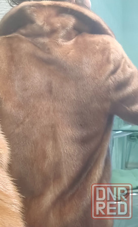 Полушубок норка Донецк - изображение 7