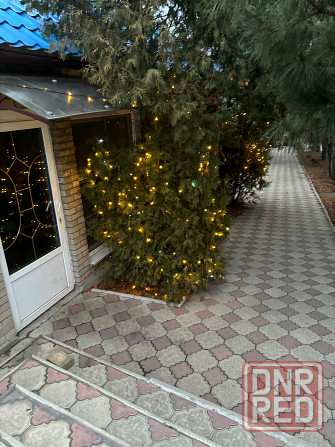 Сдаётся место отдыха для большой компании в Шарапово (Корсунь) Енакиево - изображение 7