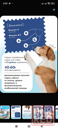 Корм для собак Renal (Ренал) Донецк - изображение 2