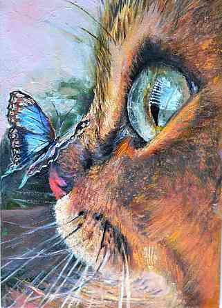 Купить картину на подарок "Котик и бабочка", портрет котика, смешной котенок, веселая картинка Донецк