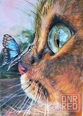 Купить картину на подарок "Котик и бабочка", портрет котика, смешной котенок, веселая картинка Донецк - изображение 1