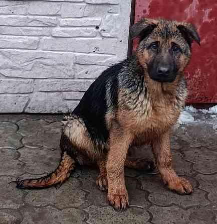 Немчики Донецк