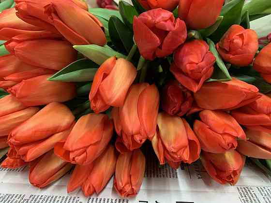 Тюльпаны к празднику Донецк