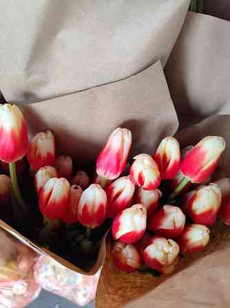 Тюльпаны к празднику Донецк