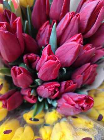 Тюльпаны к празднику Донецк