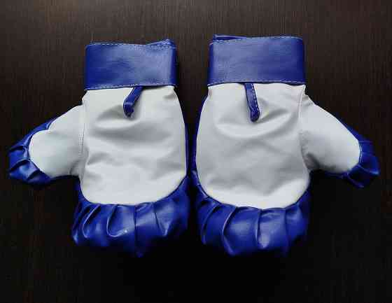 Перчатки боксерские детские Донецк