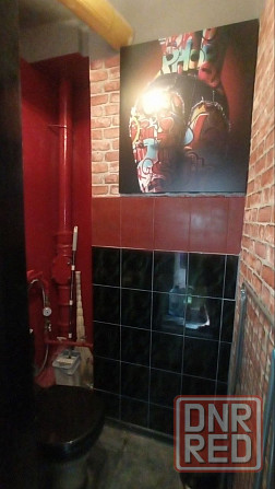 Аренда 1 ком центр города, Ворошиловский район, Розы Люксембург и пр. Театральный ! Донецк - изображение 7