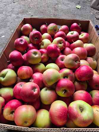 Продаем яблоки Мариуполь