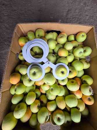 Продаем яблоки Мариуполь