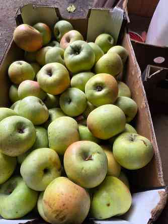 Продаем яблоки Мариуполь