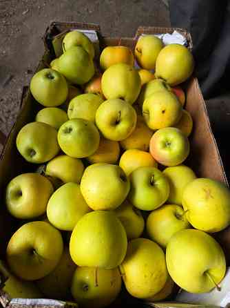 Продаем яблоки Мариуполь