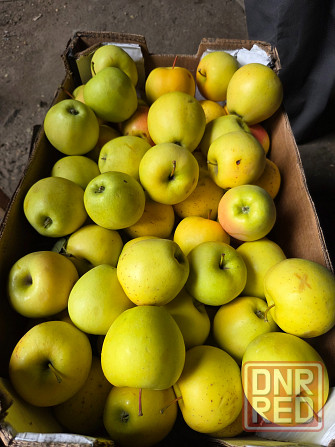 Продаем яблоки Мариуполь - изображение 3