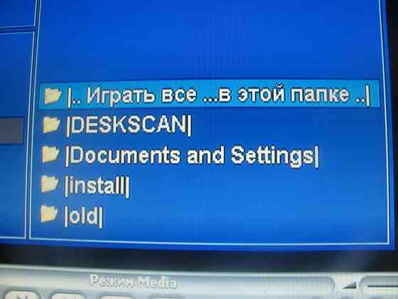 Кругляк бронзо* средний Донецк