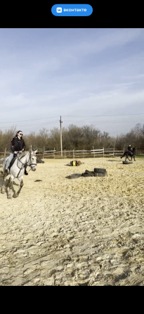 Продам кобылу Макеевка