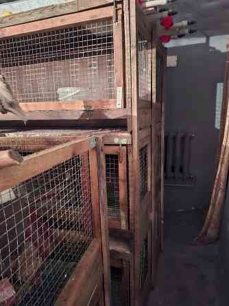 Клетки для бройлеров и перепелов Донецк