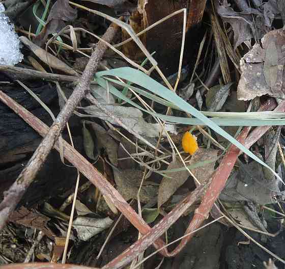 No confession, no case Драма Донецк