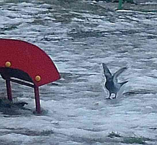 Журналисты море*** зачем-то Донецк