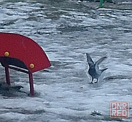 Журналисты море*** зачем-то Донецк - изображение 1