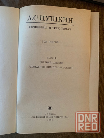 Пушкин Донецк - изображение 5