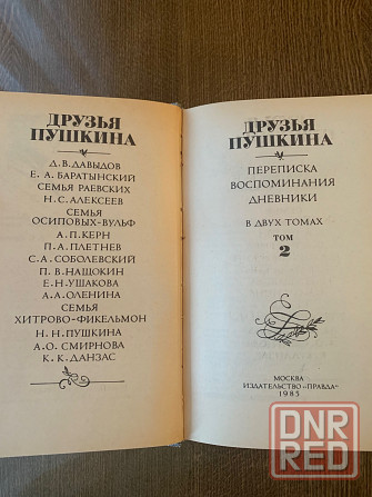 Пушкин Донецк - изображение 3