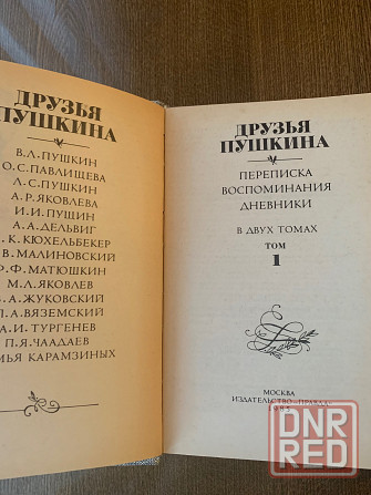 Пушкин Донецк - изображение 2