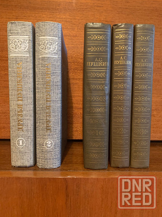 Пушкин Донецк - изображение 1