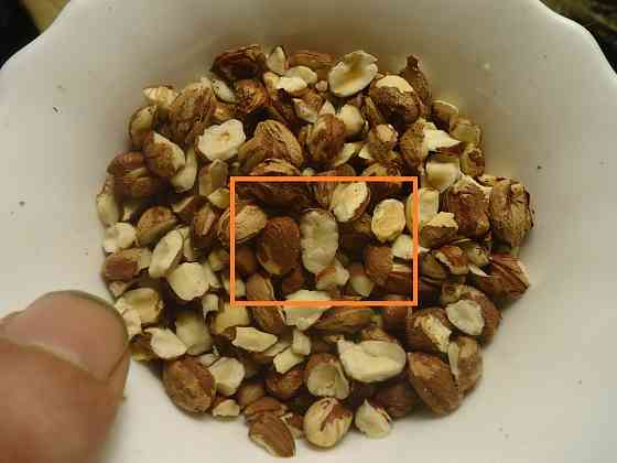 Каждый охотник, "я не прав" Донецк