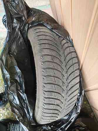 Sava Eskimo зима 175/65/14 пара Донецк