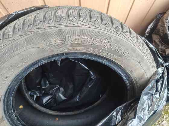 Sava Eskimo зима 175/65/14 пара Донецк
