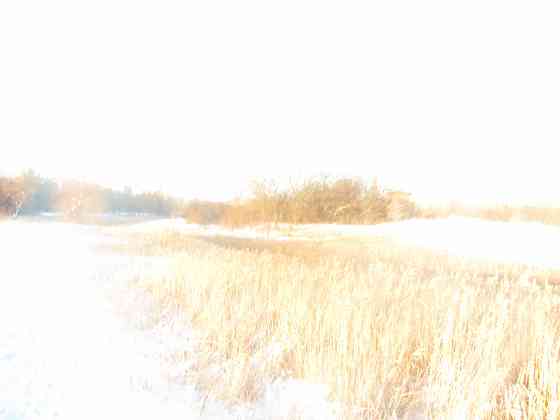 Психолог общался с охранкой^ Донецк