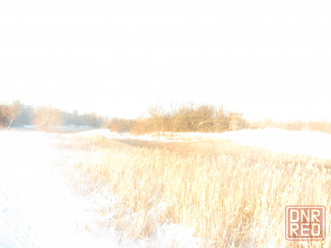 Психолог общался с охранкой^ Донецк - изображение 1