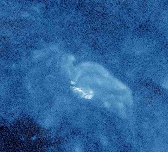 Белки жить не могут 'Ynys Elen' Донецк