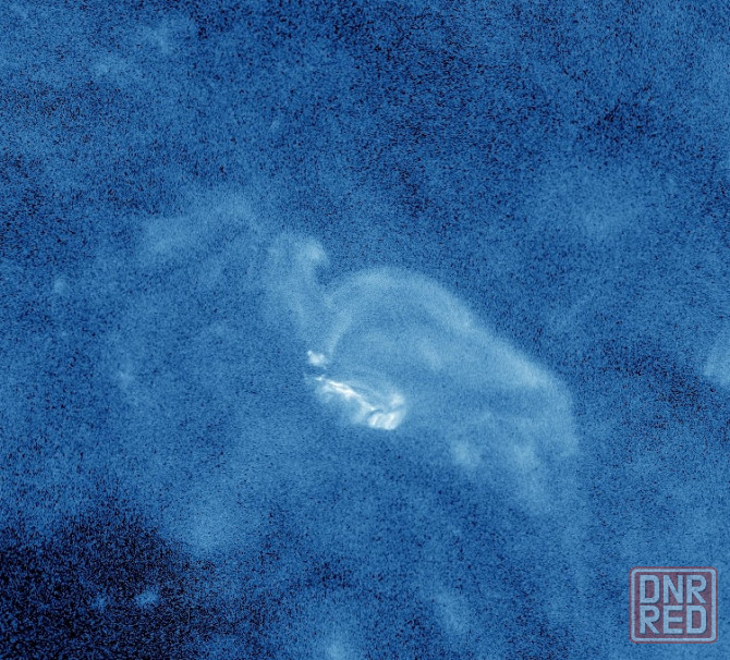 Белки жить не могут 'Ynys Elen' Донецк - изображение 1