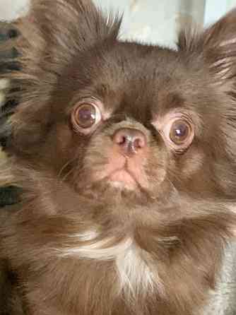 Вязка Макеевка