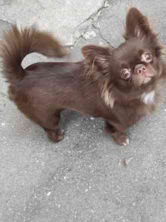 Вязка Макеевка