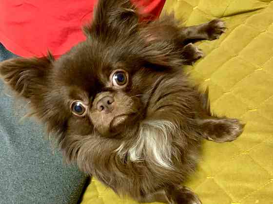 Вязка Макеевка