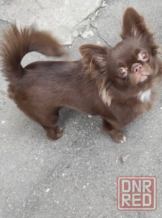 Вязка Макеевка - изображение 2