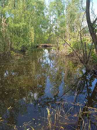 Дом в г. Енакиево с собственным водоёмом Енакиево