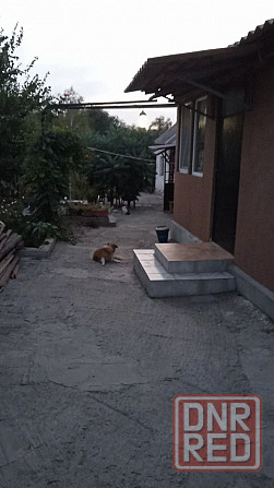 Дом в г. Енакиево с собственным водоёмом Енакиево - изображение 11