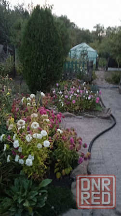 Дом в г. Енакиево с собственным водоёмом Енакиево - изображение 12