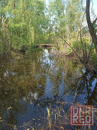 Дом в г. Енакиево с собственным водоёмом Енакиево - изображение 3