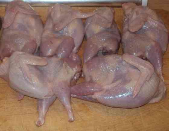 Мясо переперелов Мариуполь